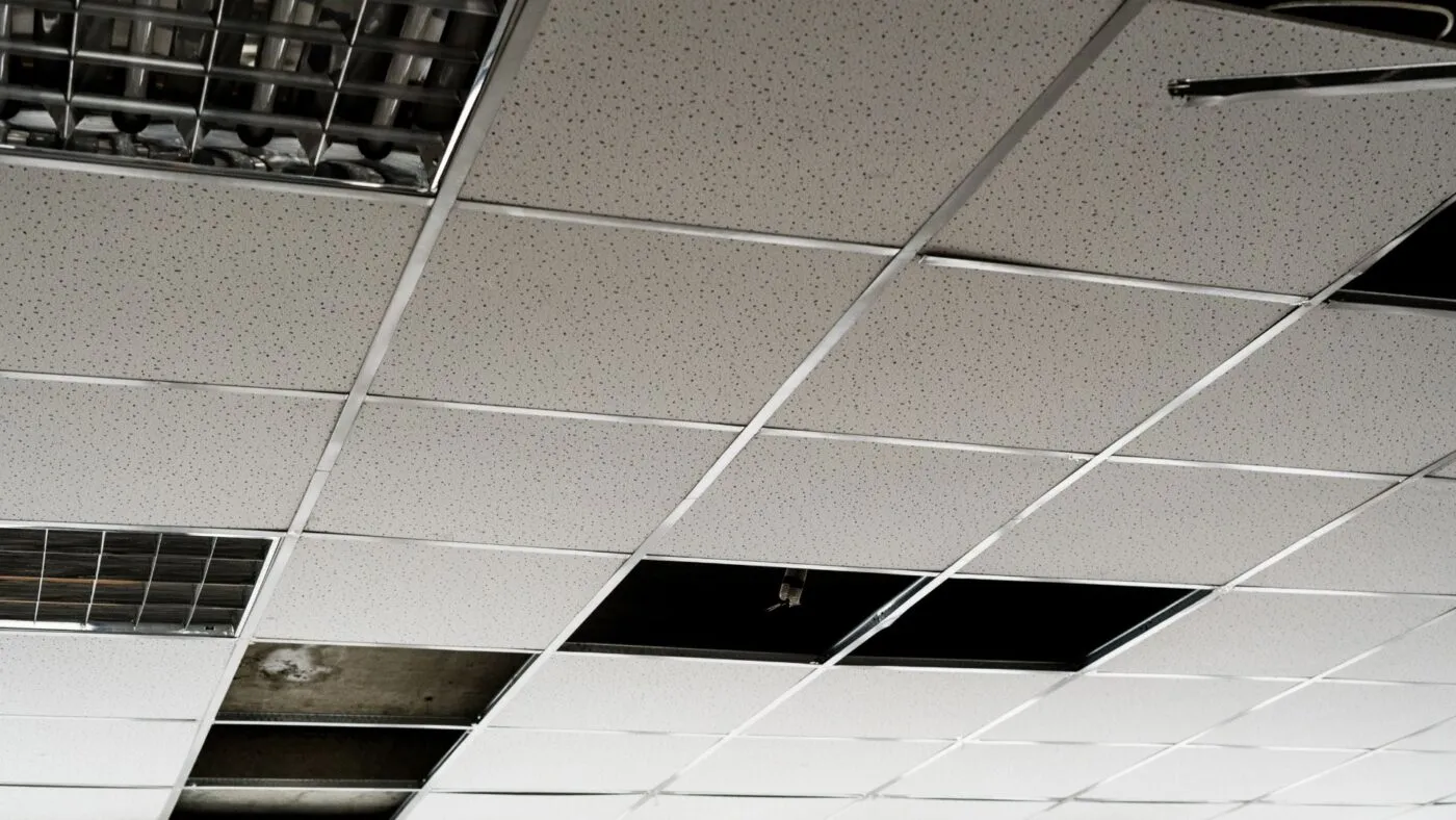 Taşyünü asma tavan sistemleri